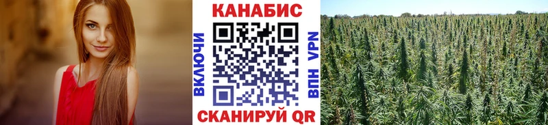 МАРИХУАНА Amnesia Чегем